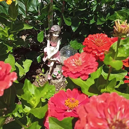 Dolenjska With Private Jacuzzi And Sauna Nastanitev v družini Zuzemberk