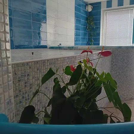 Dolenjska With Private Sauna