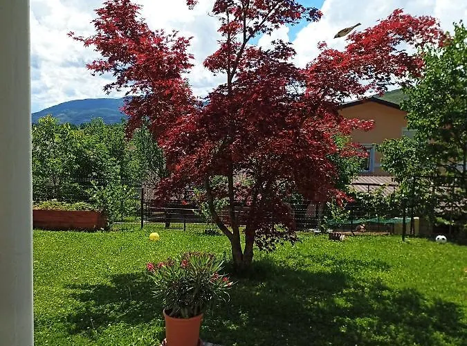 Dolenjska With Private Sauna 民宿